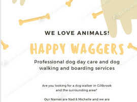 Happy Waggers Dog Sevices