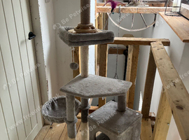 Cat Tree