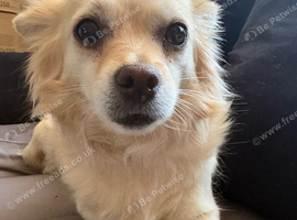 Rehome