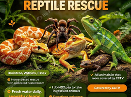 Scotts reptile rescue