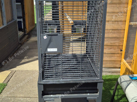 Small parrot cage