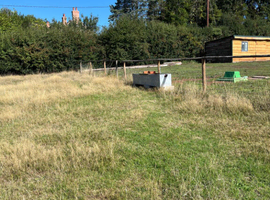 1.5 acres to rent with stables near Bromsgrove