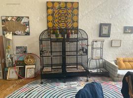 Incredibly spacious parrot cage with central divider