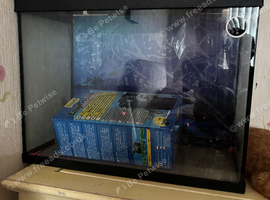 80 litre aquarium