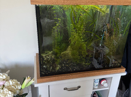 Oak fish tank 110l