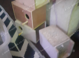 Budgie nest boxes x 10