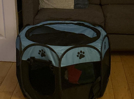 Dog pop up tent!