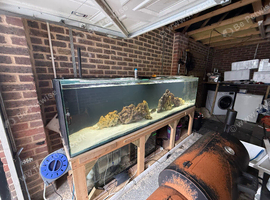 8ft full tank set up
