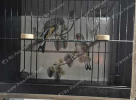 nest boxes / carry cages made to order