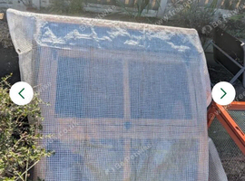 7 female laying quail full set up