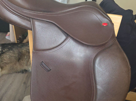 Whitaker saddle