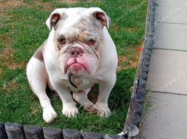Rehome