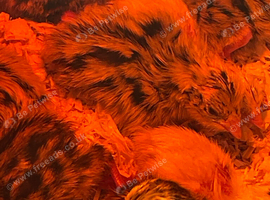 Quail chicks. Button and Coturnix