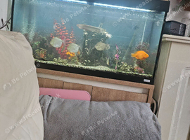 3 ft tank and stand