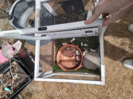 Tortoise enclosure with accessories