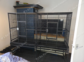 Parrot flight cage