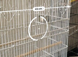 Cages tall good for small and big birds