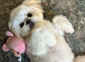 Say Hello to Fendi