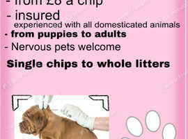 Mobile Microchipping