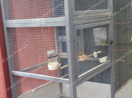 paw hut indoor outdoor aviary