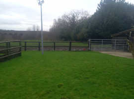 Full livery available