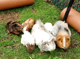 Beautiful babies