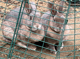 Mum and daughter