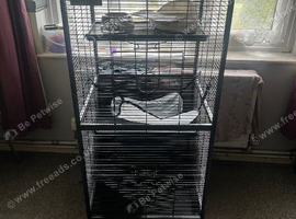 4 tier cage with hammock