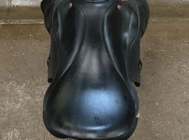 18 inch saddle!