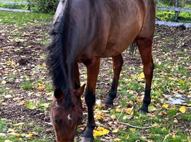 Happy Hacker