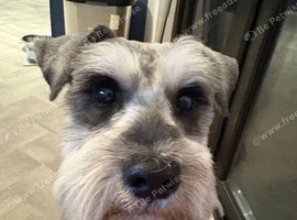 Milo