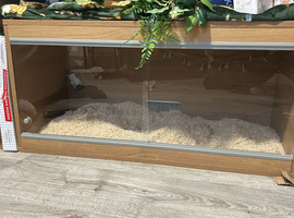 Wood and glass vivarium for sale 37.5 x 42.1 x 86.2