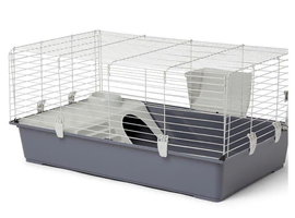 Guinea pig enclosure