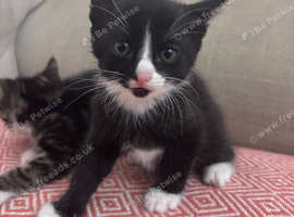 One little boy and one little girl
