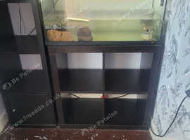 Fish tank only