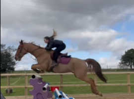 2 stables available for backing and schooling livery