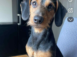 Beautiful boy