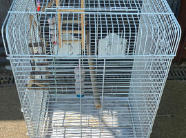 Large bird cage
