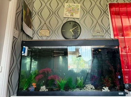 Fish tank