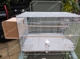 Cage setup