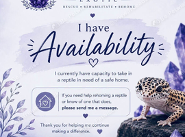 We have availablity!