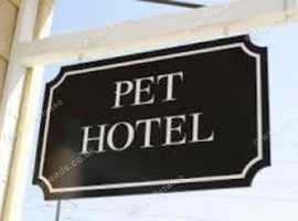 Reptile & Pet Boarding in Warrington