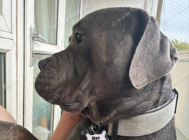 Max
