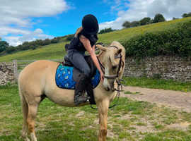 Eye catching  Spanish mare