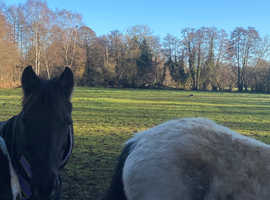 DIY, part livery and retirement livery