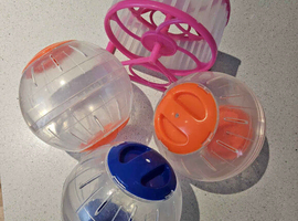 Hamster exercise ball
