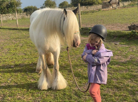 Perfect pc pony/mother, daughter share