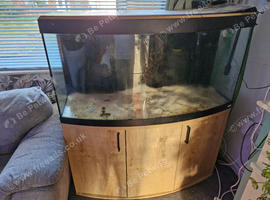 Tropical tank