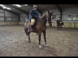 BOSS THE GENT