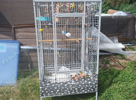 Large Parrot Cage &ndash; &pound;80